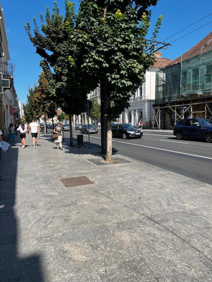 Ndl Downtown Cluj Cluj-Napoca Exterior foto